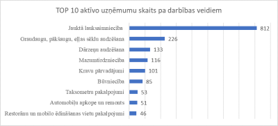 TOP 10 aktīvo uzņēmumu skaits Bauskas novadā: jauktā lauksaimniecība (812), graudaugu audzēšana (226), dārzeņu audzēšana (133), mazumtirdzniecība (116), kravu pārvadājumi (101), būvniecība (85), taksometru pakalpojumi (53), automobiļu remonts (51), restorāni un ēdināšana (46).